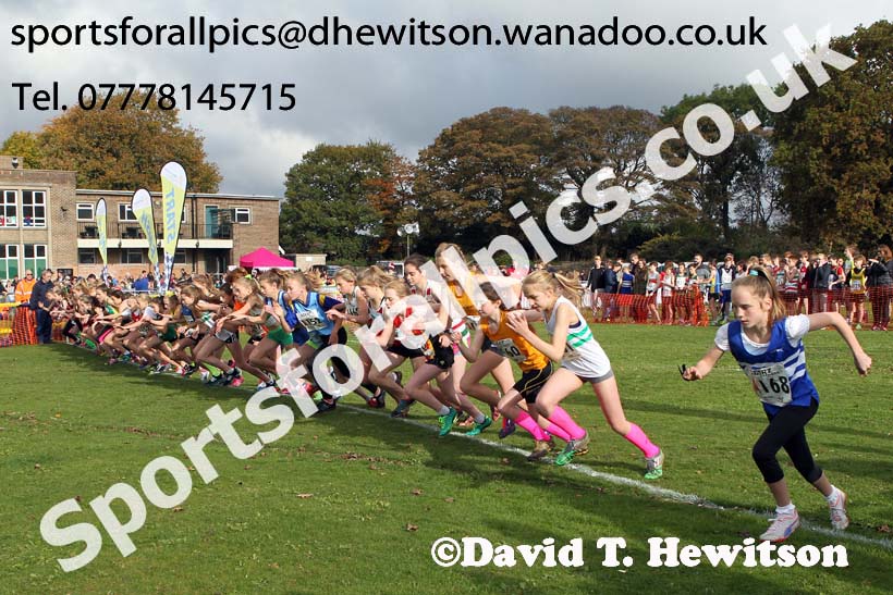 Girls under-13s Northern Cross Country Relays. Photo: David T. Hewitson/Sports for All Pics